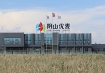 權(quán)威！陰山優(yōu)麥被認(rèn)證為“中國有機(jī)燕麥第 一品牌”